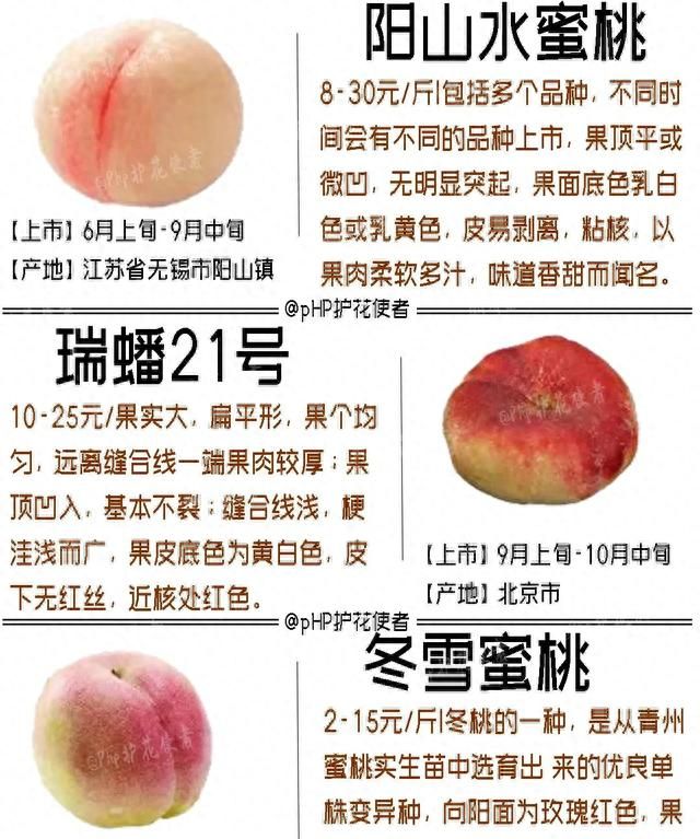 16种桃子的区别与桃子的挑选方法和吃法!