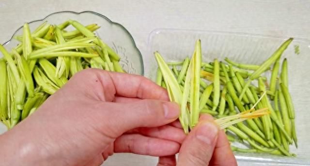 三伏天，吃鲜黄花菜正当季，教你正确处理方法，鲜嫩爽口，特开胃