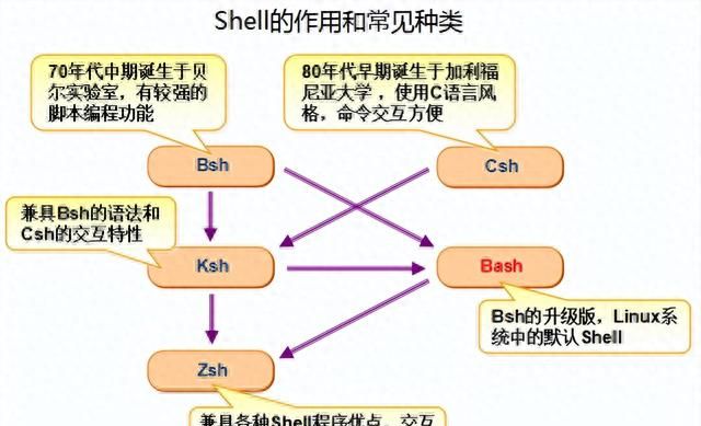 LINUX shell 基础编程介绍