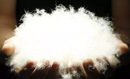 羽绒的气味来源哪里，如何消除异味？