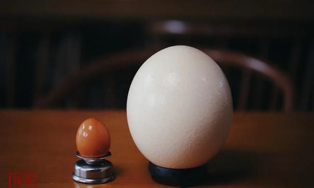 用世界上最大的蛋来做一顿卤肉饭之卤鸵鸟蛋篇