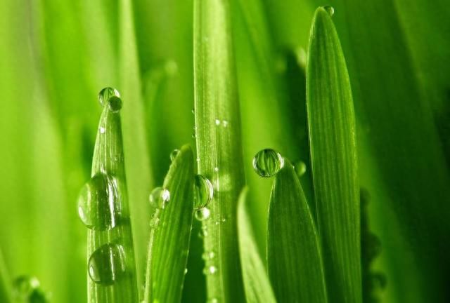 学习强国题库生物学知识解析