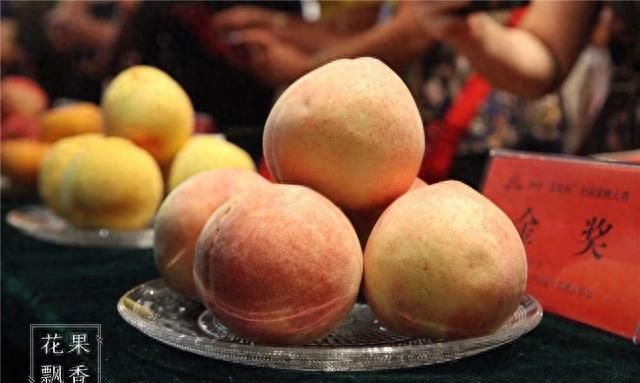 吃硬的还是吃软的，“软硬皆吃”才是未来桃子的发展方向