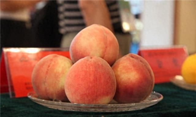 吃硬的还是吃软的，“软硬皆吃”才是未来桃子的发展方向
