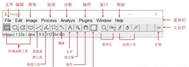 关于ImageJ，不得不去了解的作图干货