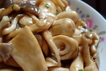 美食：凤尾菇的几种做法