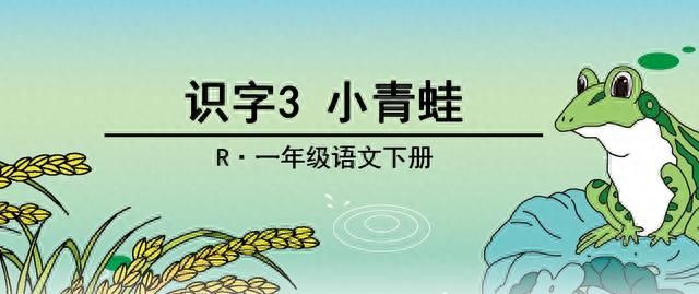 小学语文一年下册《小青蛙》知识积累干货、能力扩展训练