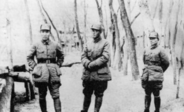 刘伯承和聂荣臻同时去平原，为什么说冀南的发展优于冀东？
