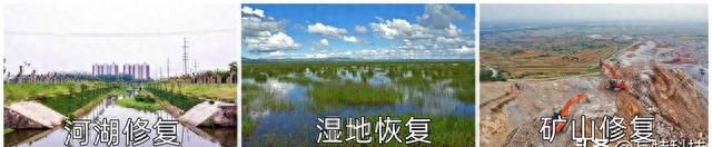 海绵土——生态修复的利器，低投入创业首选项目