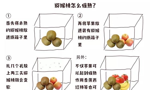 甜到心尖的红心猕猴桃，维C满满