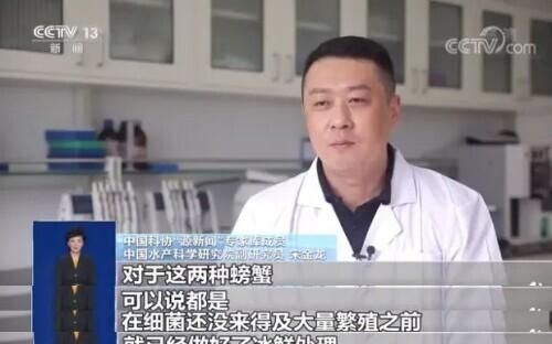中国水产研究院实验：螃蟹死后2小时、5小时、24小时的食用风险多高？