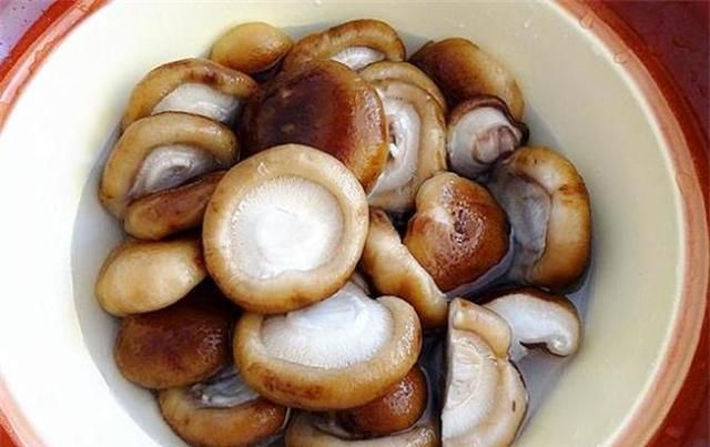 香菇要煮多久才能熟？如何做出美味的香菇？