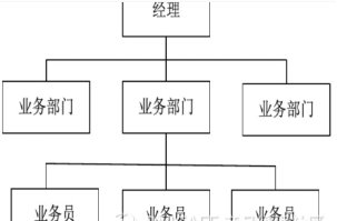 团队管理3——组织架构及演变趋势