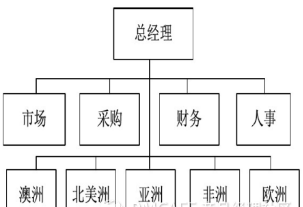 团队管理3——组织架构及演变趋势