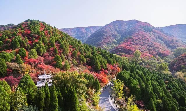 左手美食右手美景，5天4晚山东逛吃攻略