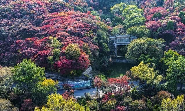 左手美食右手美景，5天4晚山东逛吃攻略