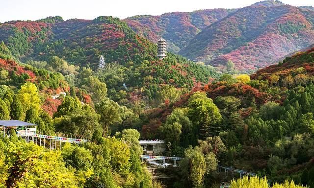 左手美食右手美景，5天4晚山东逛吃攻略