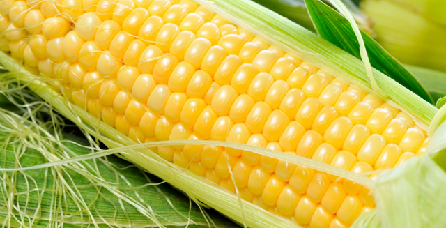 玉米5种最好吃的做法，简单美味又馋人，看看你喜欢吃哪种？