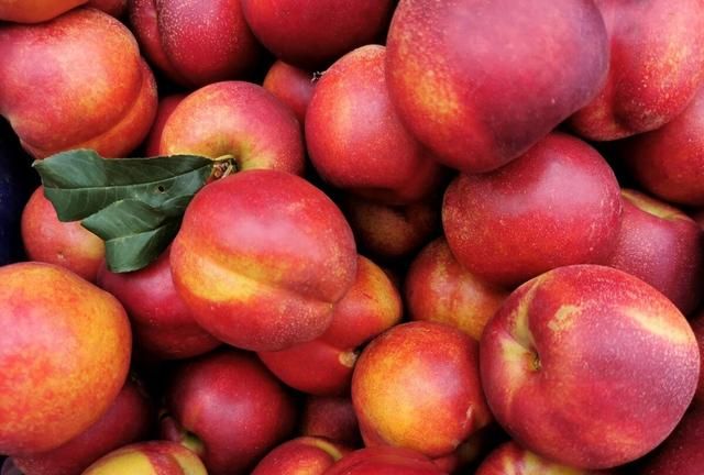 农村常见的黄桃种类及口感都有哪些区别，建议大家收藏备用