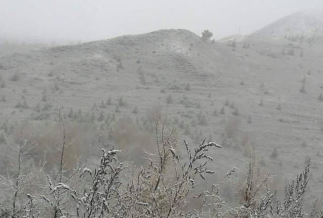 我在北方大雪纷飞你在南方艳阳里图6