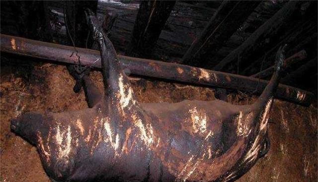 四川顶级美食“臭猪肉”，死猪悬挂房梁30年，居然能卖几十万？