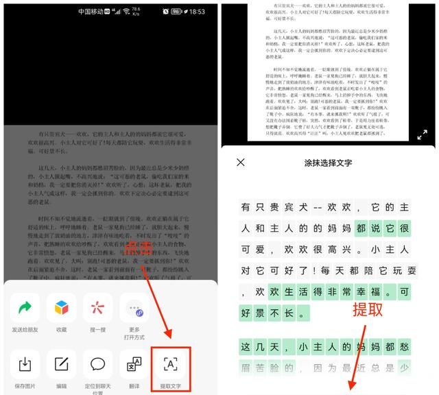 教你4种方法，快速提取图片上的文字，再也不用去打印店了