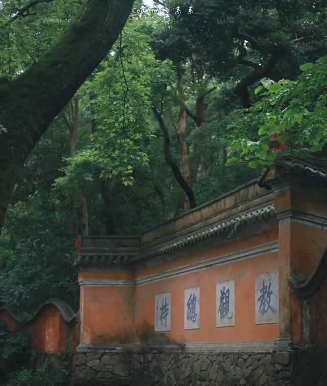 在散装台州，天台县的好吃居然只有他们自己知道