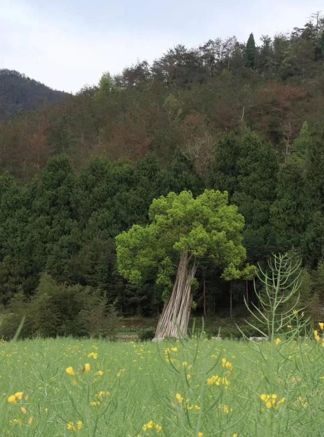 在散装台州，天台县的好吃居然只有他们自己知道