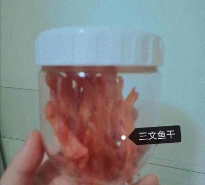 超级无敌简单的宠物食谱