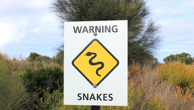 五步蛇有多毒，被咬伤真的只能走五步吗？