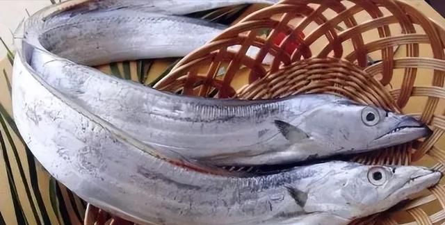 【必看】揭秘海洋美食界的珍宝！公认好吃的6种野生海鱼大公开！