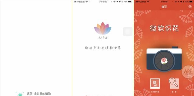 想知道那朵花的名字？试试用这三款 App 扫一扫