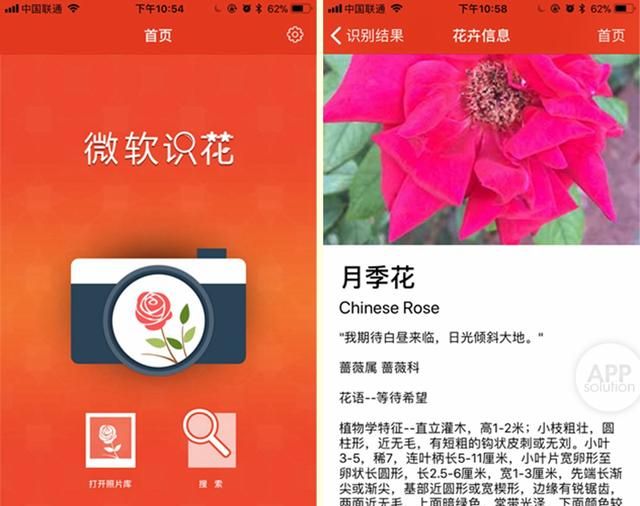 想知道那朵花的名字？试试用这三款 App 扫一扫