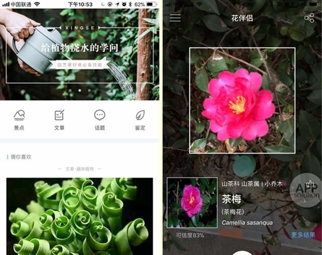 想知道那朵花的名字？试试用这三款 App 扫一扫