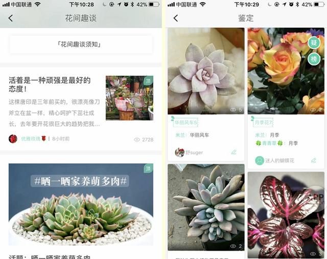 想知道那朵花的名字？试试用这三款 App 扫一扫