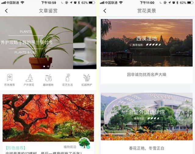 想知道那朵花的名字？试试用这三款 App 扫一扫