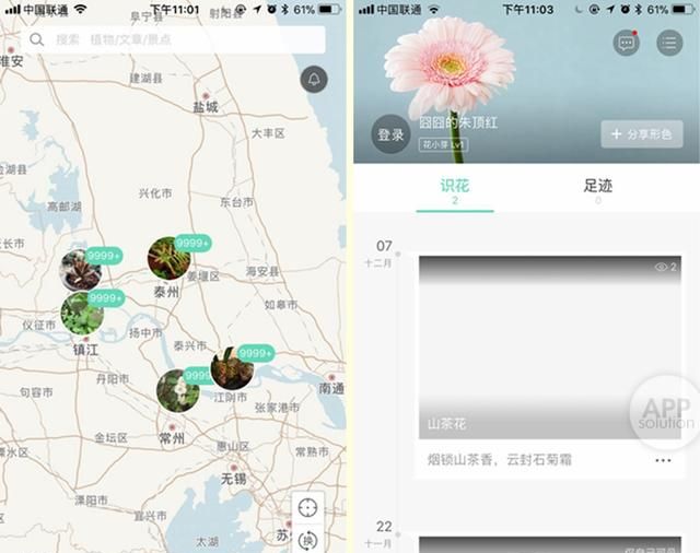 想知道那朵花的名字？试试用这三款 App 扫一扫