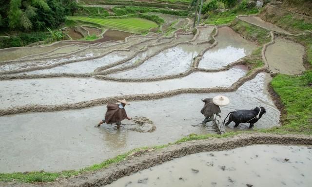 农村2023年土地迎来5大变革，是农民的福音，你知道哪5大变革吗？