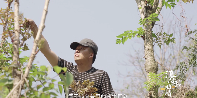 正宗！爽口！炭烤黄豆腐、慢炖火腿、鸡蛋藤菜汤，这些宣威美食把人看饿啦！