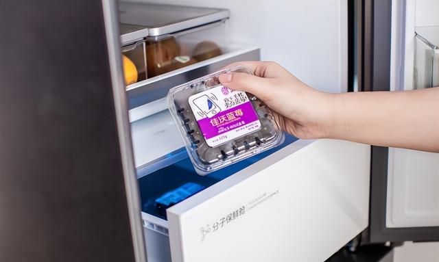 松茸营养价值高，保鲜很重要！TCL 格物冰箱Q10带来极致保鲜新体验